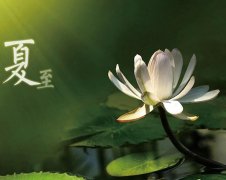 夏至節(jié)氣，廣西強(qiáng)壽藥業(yè)集團(tuán)提醒您注意防暑降溫