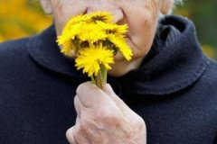 進(jìn)行性癡呆是怎么回事_進(jìn)行性癡呆的病因、預(yù)防