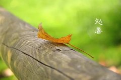 今日12時9分，迎來處暑節(jié)氣