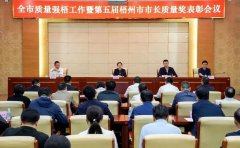 【喜訊】熱烈祝賀強壽集團榮獲第五屆梧州市市長質(zhì)量獎